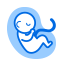 임신기